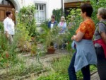 Kräuterführung im Bibelgarten Meersburg