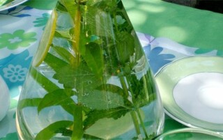 Pfefferminz-Zitronen Getränk