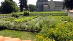Der Kräutergarten nördlich des Münsters von Mittelzell.