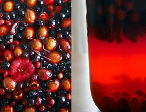 Wildfrucht-Essig selbst gemacht